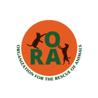 ORA logo